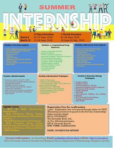 Summer_internship